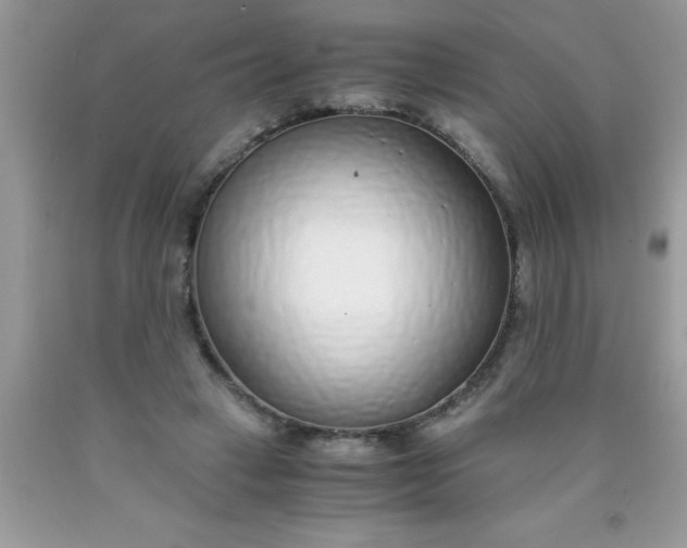 X0000090450449200707272219