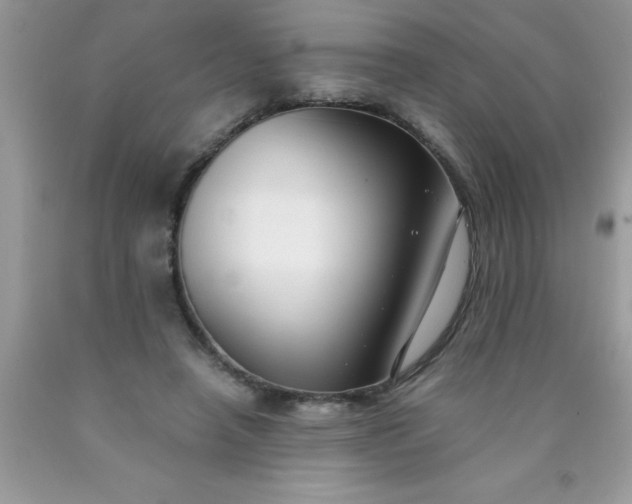 X0000090450450200707272219