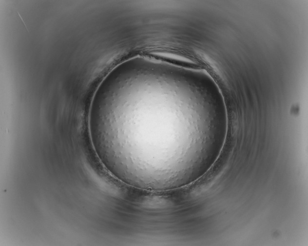 X0000090450451200707272219