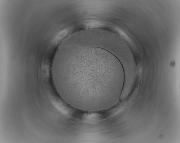 X0000090450452200707272219