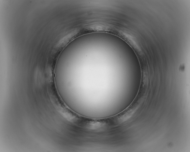 X0000090450453200707272219