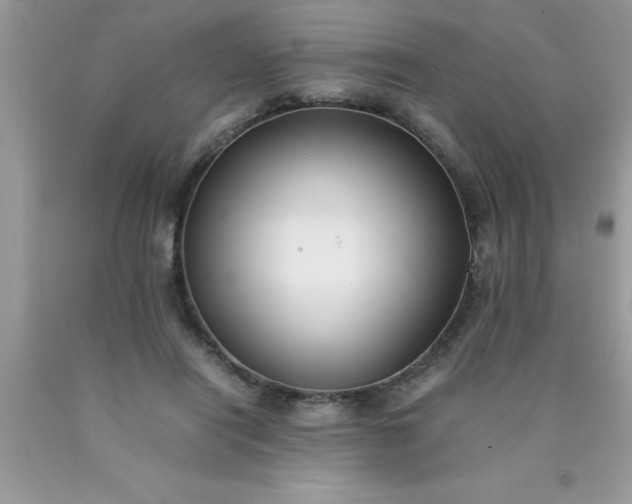 X0000090450454200707272219