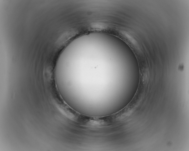 X0000090450455200707272219