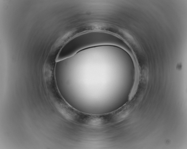 X0000090450456200707272219