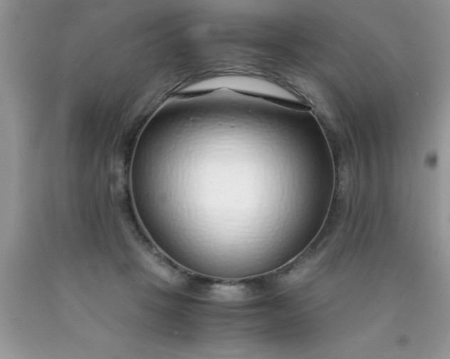 X0000090450457200707272219