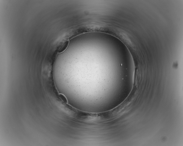 X0000090450458200707272219