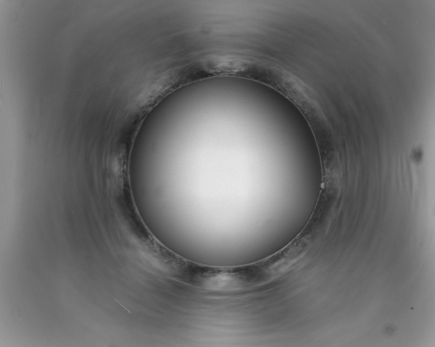 X0000090450460200707272219