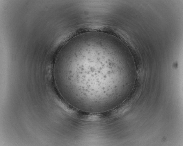 X0000090450462200707272219