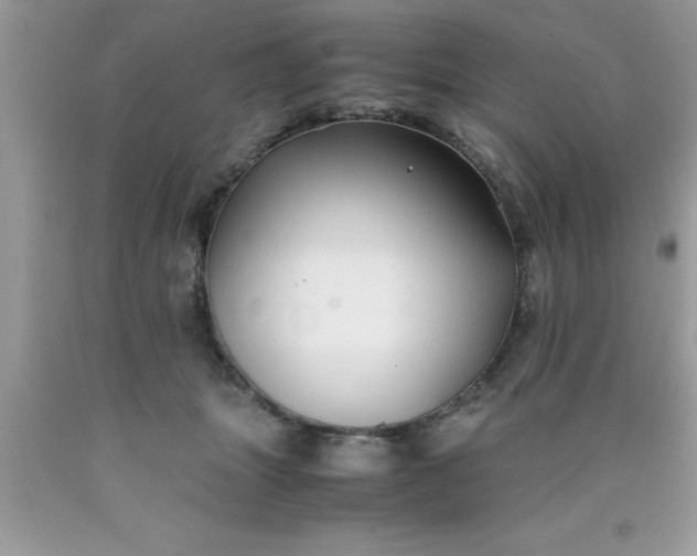 X0000090450463200707272219