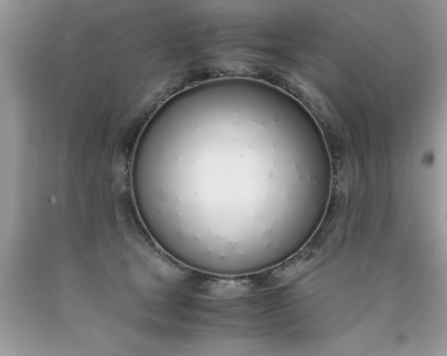 X0000090450465200707272219