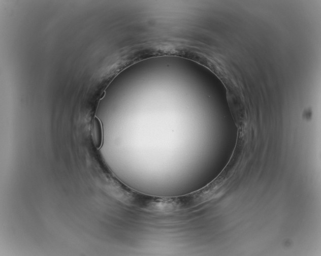 X0000090450466200707272219