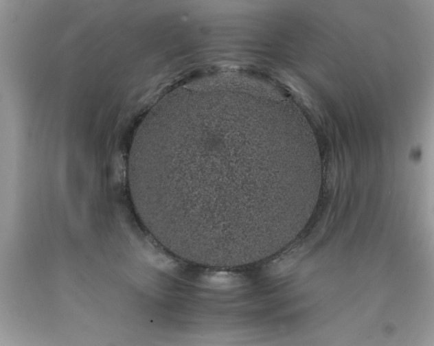 X0000090450467200707272219