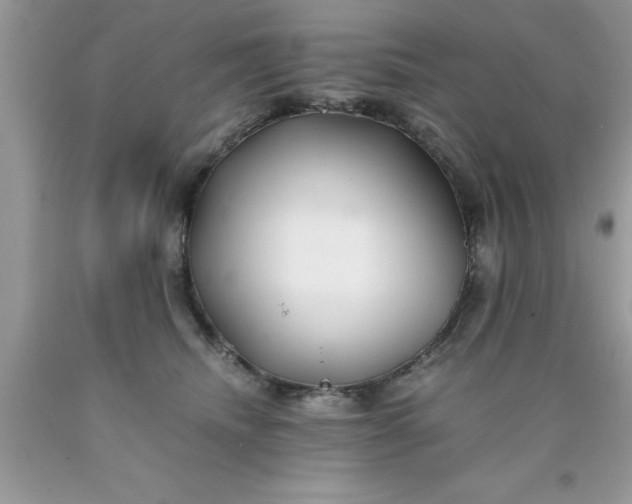 X0000090450468200707272219