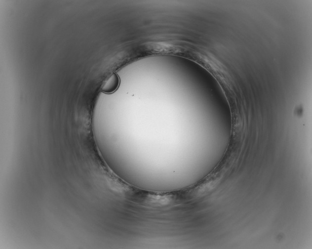 X0000090450469200707272219