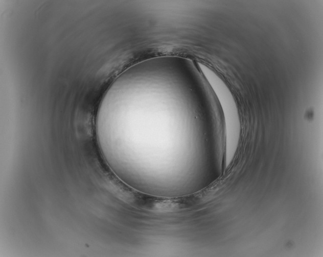 X0000090450470200707272219