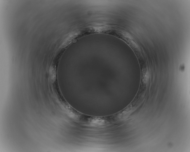 X0000090450471200707272219