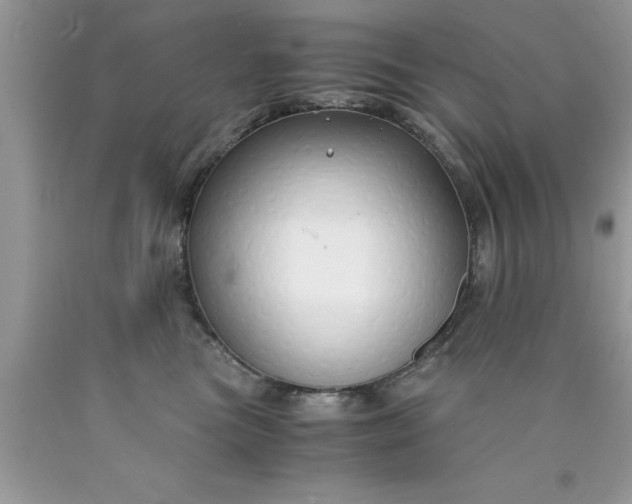 X0000090450473200707272219