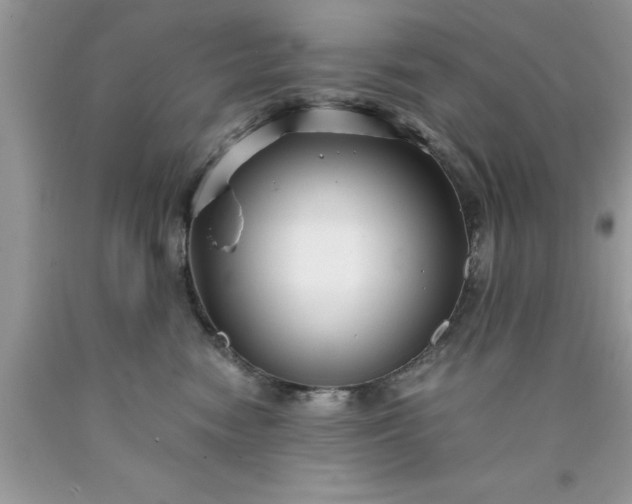 X0000090450474200707272219