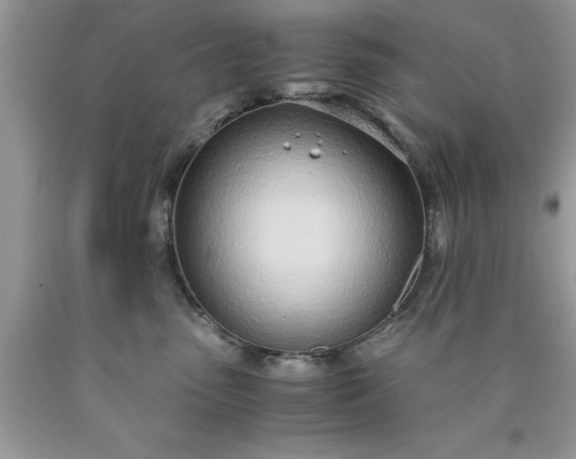 X0000090450475200707272219