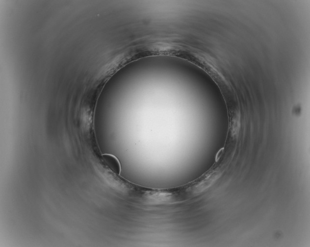 X0000090450476200707272219