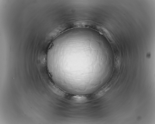 X0000090450477200707272219