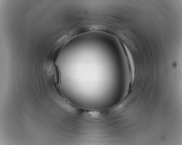 X0000090450478200707272219