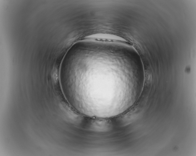 X0000090450479200707272219