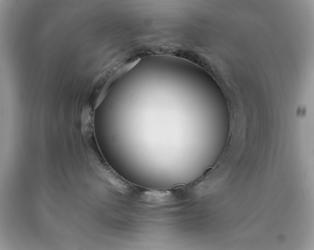 X0000090450480200707272219