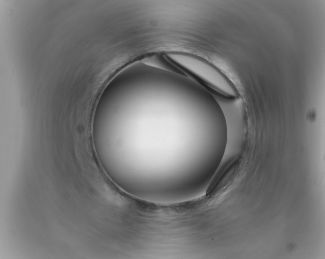 X0000090450481200707272219