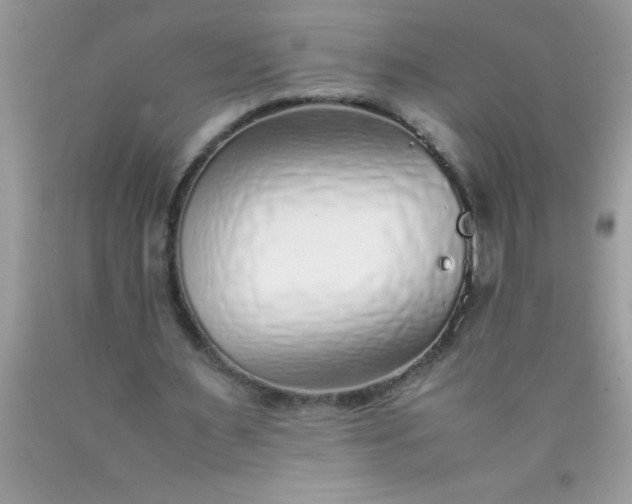 X0000090450483200707272219