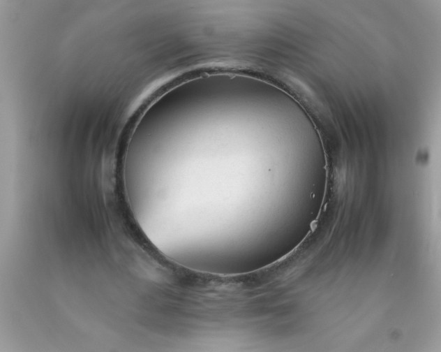 X0000090450484200707272219