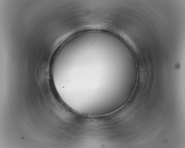 X0000090450486200707272219