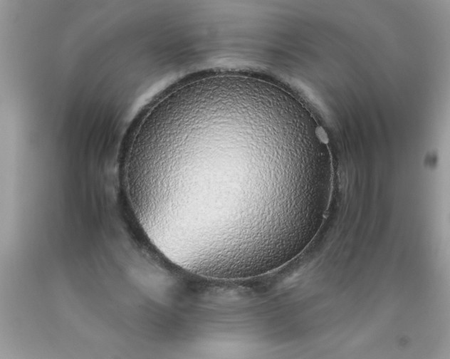 X0000090450488200707272218