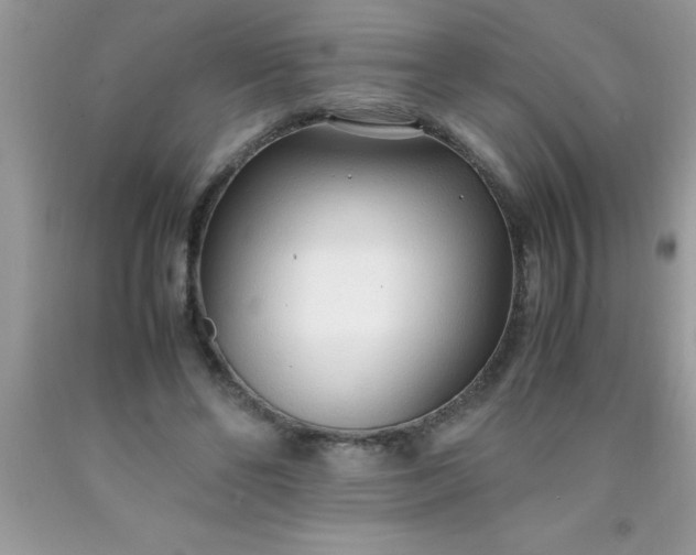 X0000090450494200707272218