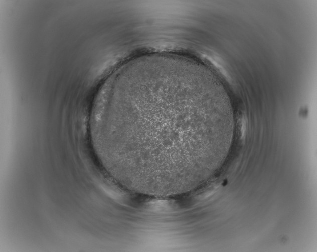 X0000090450499200707272218