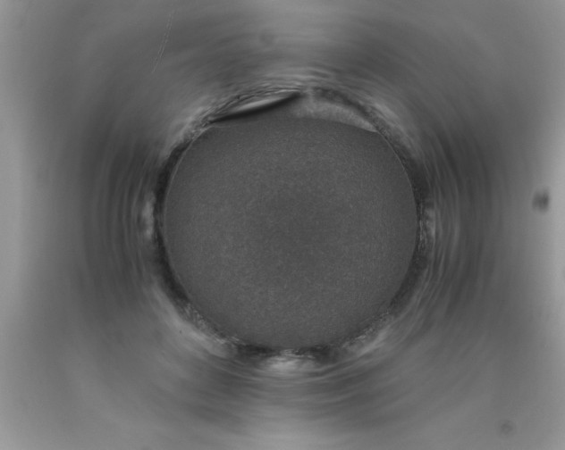 X0000090450504200707272218