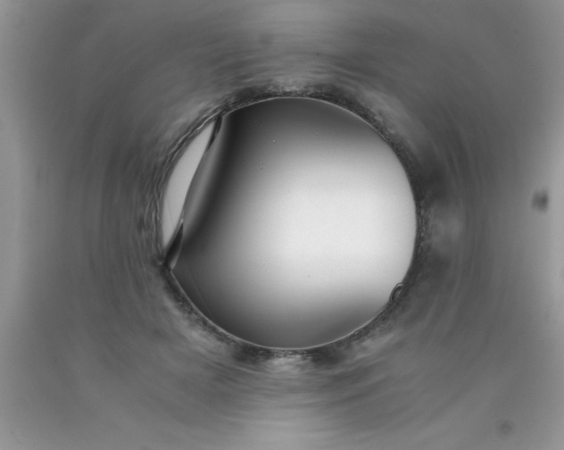 X0000090450505200707272218