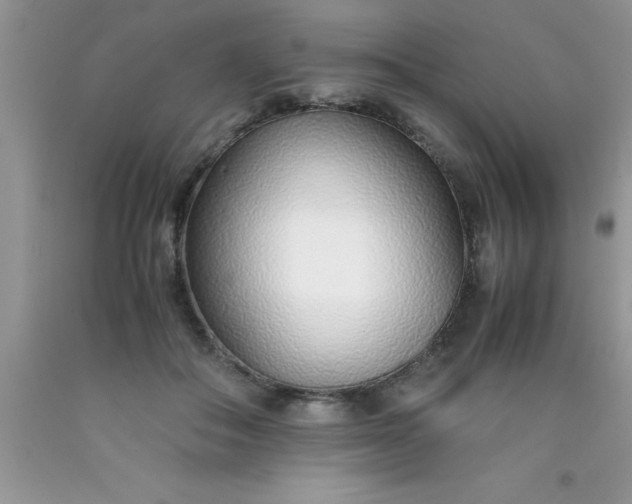 X0000090450506200707272218