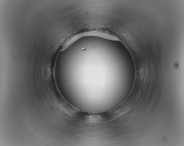 X0000090450508200707272218