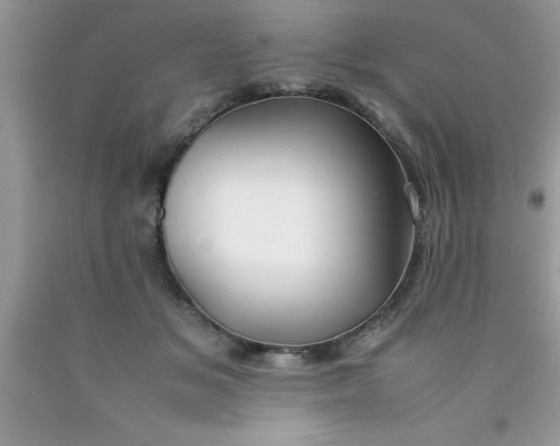 X0000090450509200707272218