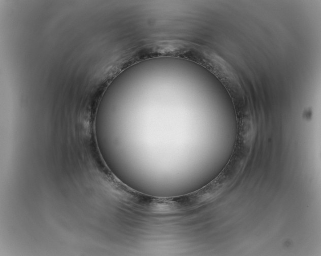 X0000090450510200707272218