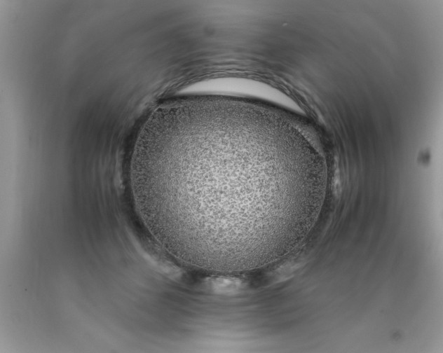 X0000090450512200707272218