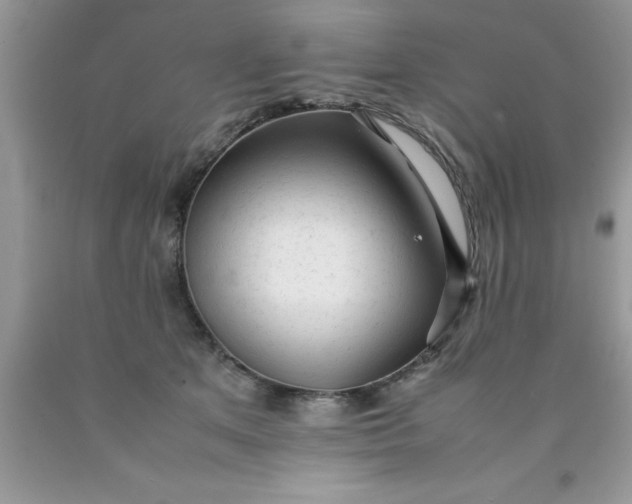 X0000090450513200707272218