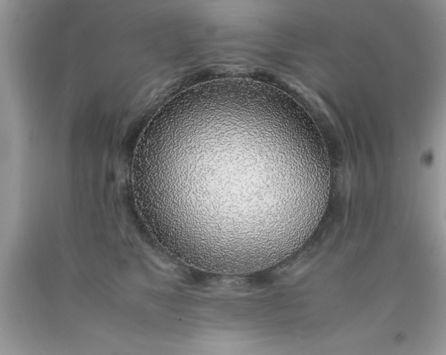 X0000090450517200707272218