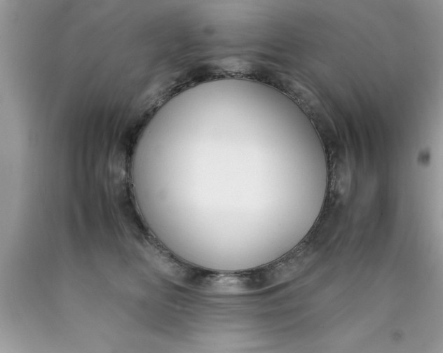 X0000090450518200707272218