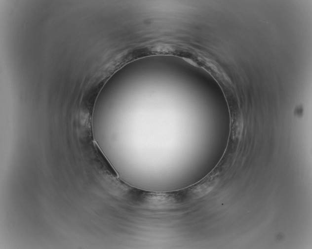 X0000090450521200707272218