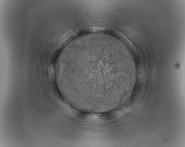 X0000090450523200707272218