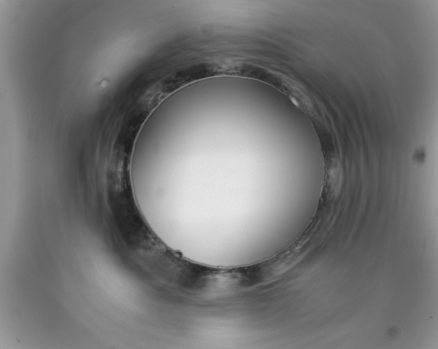 X0000090450525200707272218