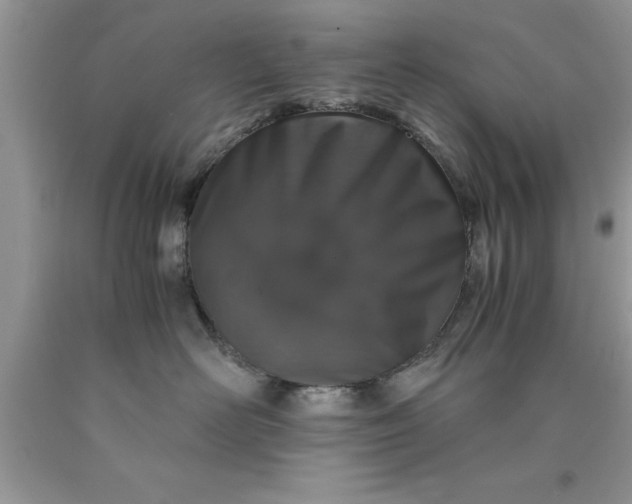 X0000090450526200707272218