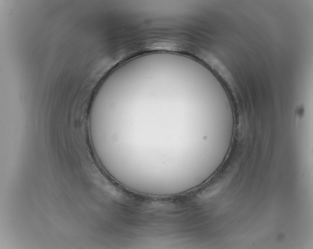 X0000090450529200707272217